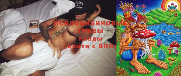 прущие грибы Семилуки